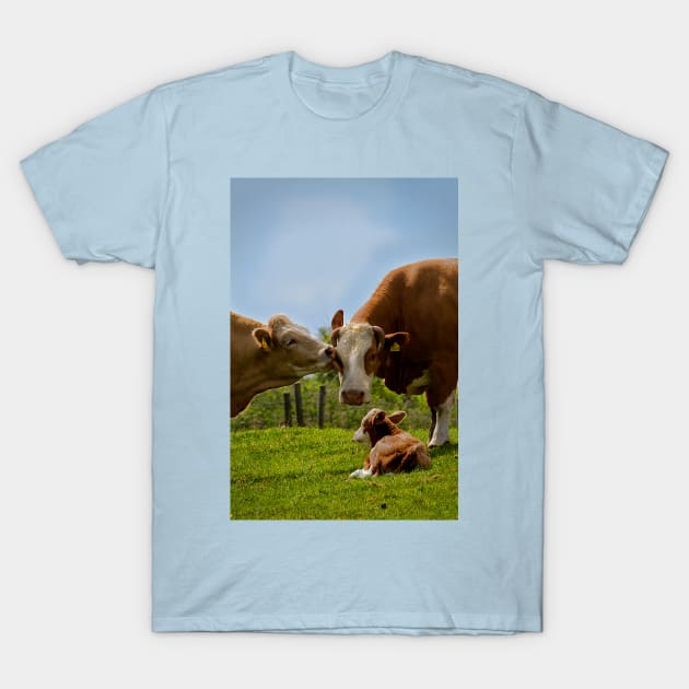 Kissin' cows T-Shirt by Violaman